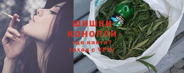 шишки Богородицк